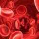 תאי דם אדומים